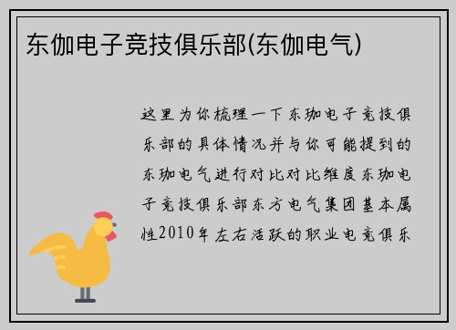 东伽电子竞技俱乐部(东伽电气)